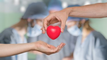 shutterstock_708590581