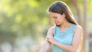 shutterstock_1438171190