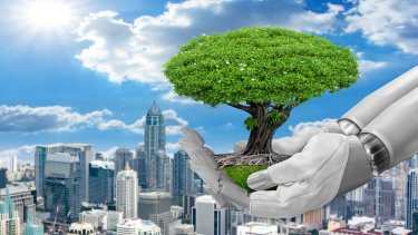 shutterstock_1778165951