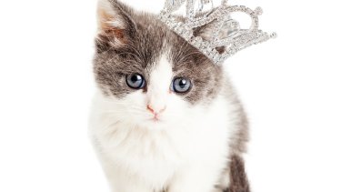 shutterstock_282403568