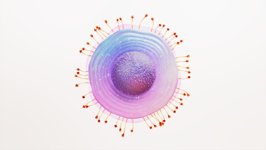 gsk_shingles_science_image