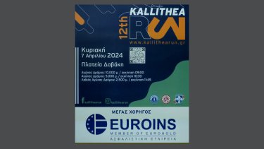kallithea_run