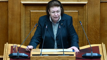 vouli-anadeiksi-politistikis-klironomias-mendoni
