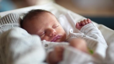 shutterstock_2342854421_1