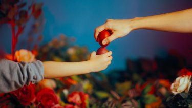 shutterstock_2439715951