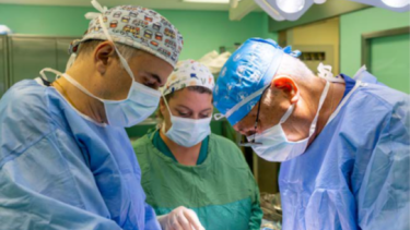euromedica