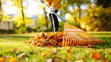 shutterstock_2344616563