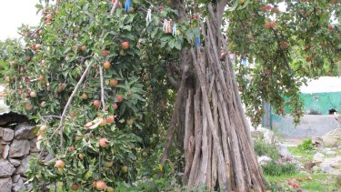 diafora_17102010_179