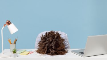 shutterstock_1976779118
