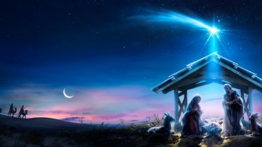 shutterstock_2392124893