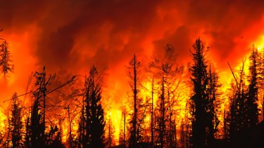 pacific-palisades-wildfires
