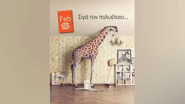 inshot_20250226_1337544812