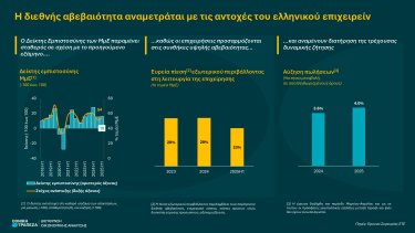 infographic_deikti_empistosynis_mme_2025i1_page-0001