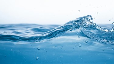 shutterstock_2592389593