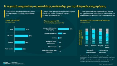 smes_investment_infographic_2025i1_page-0001
