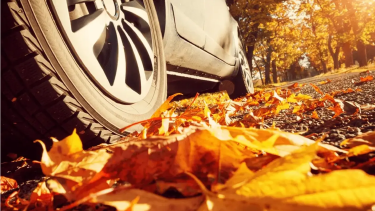 autumn-car-check