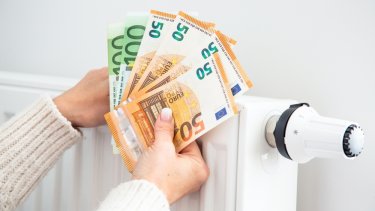shutterstock_2205507117