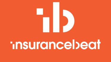 ib_logo_wo_1