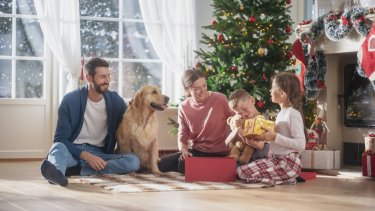 shutterstock_2370885297
