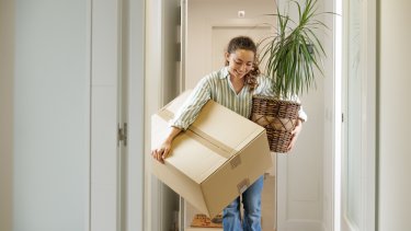 shutterstock_2484239545
