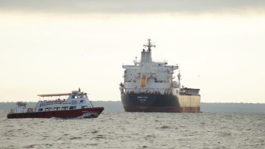 ap26007554173155-768x512