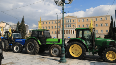 agrotes-boyli-e1708432029917