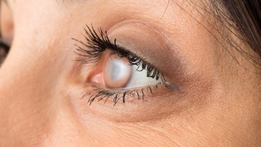 shutterstock_484207663