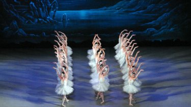 swanlake015