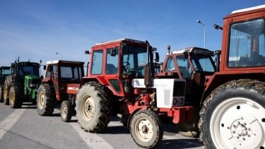 w13-115348w0384720agrotesdiodia2