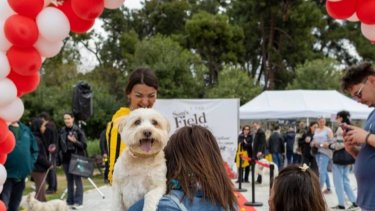 woof_festival