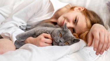 shutterstock_2466323935