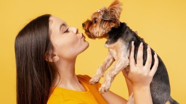 shutterstock_2713339307
