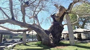 Εικόνα που περιέχει άτομο, ανθρώπινο πρόσωπο, ρουχισμός, χαμόγελο
Το περιεχόμενο που δημιουργείται από τεχνολογία AI ενδέχεται να είναι εσφαλμένο.