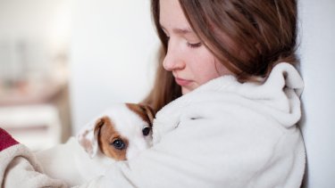 shutterstock_2634197543