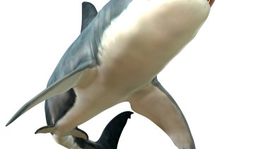 44d8fe6db3fed66101470e102790ca44