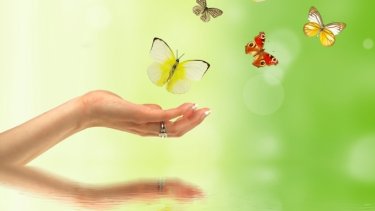 86a469af0ee784fe906902a44c2cc64c