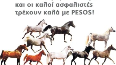 917c5629cfa3723cf9aa9804fd9e8266