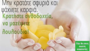 e53f03b4d09ef1ab6bce158b6e851ce9