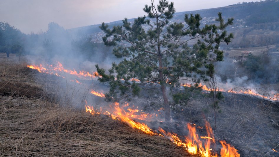Ο κόσμος γίνεται πιο επικίνδυνος - Γιατί τα ασφάλιστρα πέφτουν;