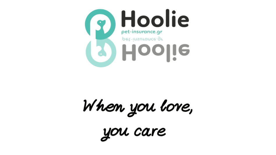Hoolie: Ασφαλίστε το κατοικίδιο του πελάτη σας και αυξήστε το εισόδημά σας