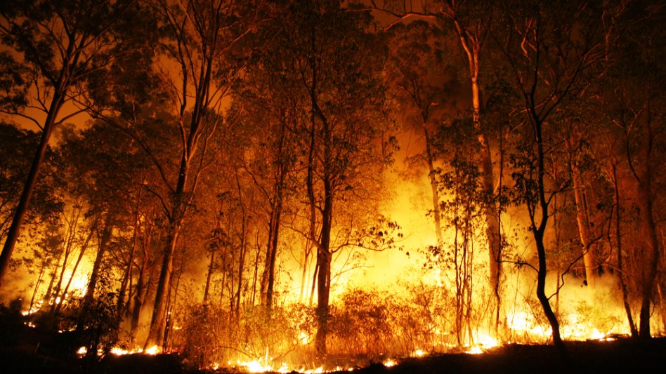 Τι αναφέρει η έκθεση της Κομισιόν σχετικά με τις δασικές πυρκαγιές;