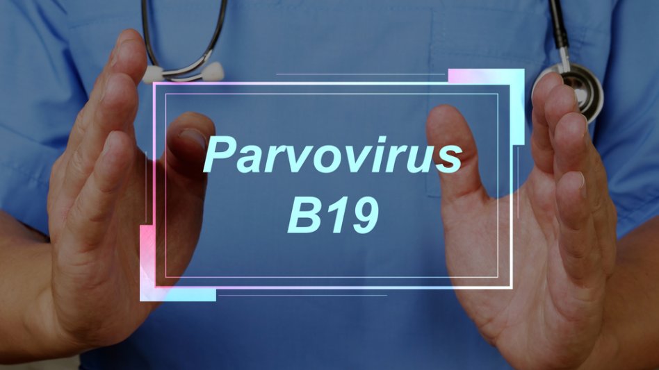 Σε επιφυλακή οι επιστήμονες για τον ιό Parvovirus B19!