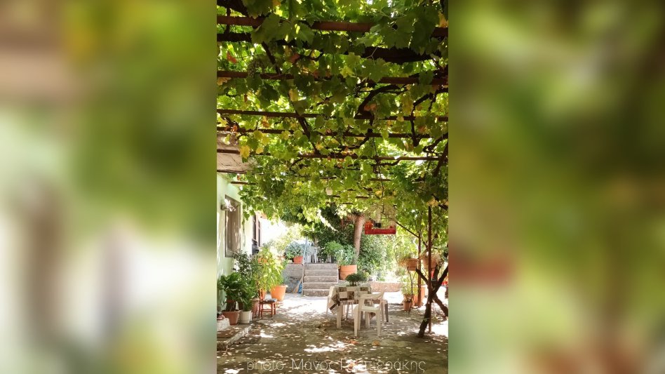Ηλίας Προβόπουλος: Κάτω από μια κρεβατίνα!