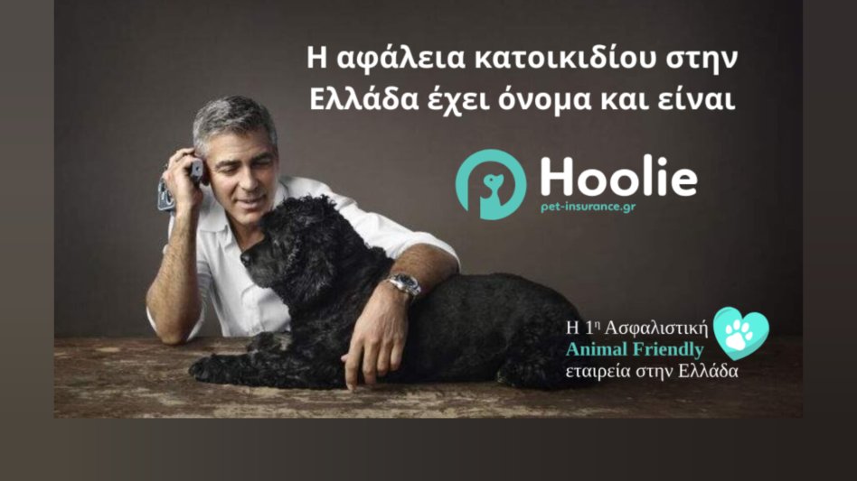 Hoolie Pet Insurance: Όταν η φροντίδα γίνεται απόφαση - Η νέα εποχή στην κηδεμονία κατοικιδίων