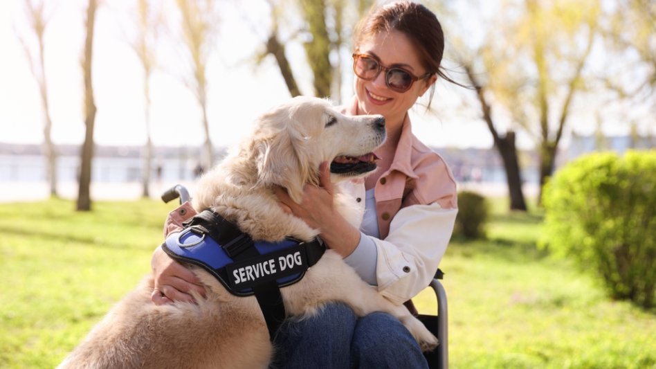 Ασφάλιση για «εργαζόμενα» pets: Προστατεύοντας τον φύλακα και τον θεραπευτή