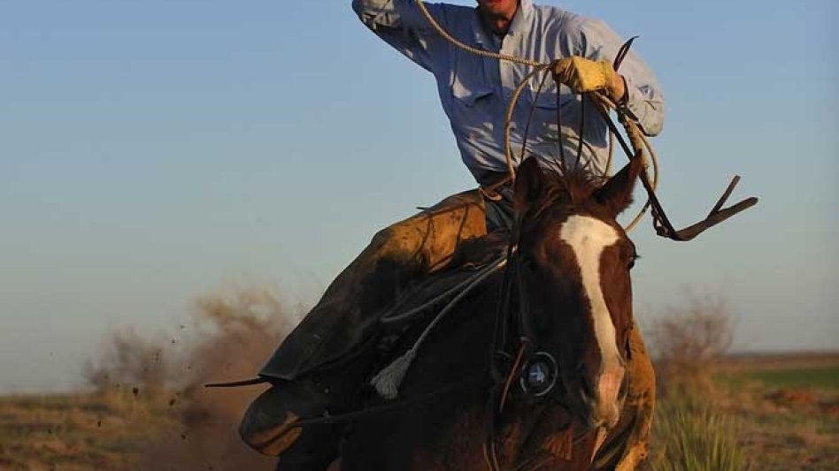 Στελέχη με ύφος cowboy που ρίχνει το λάσο... Διαβάστε ένα ενδιαφέρον σχόλιο