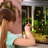 aquarium