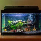 aquarium