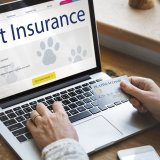 Pet Insurance