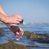 shutterstock_2052519524.jpg